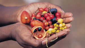 Naturopath $60